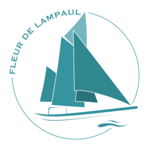 Logo Fleur de Lampaul